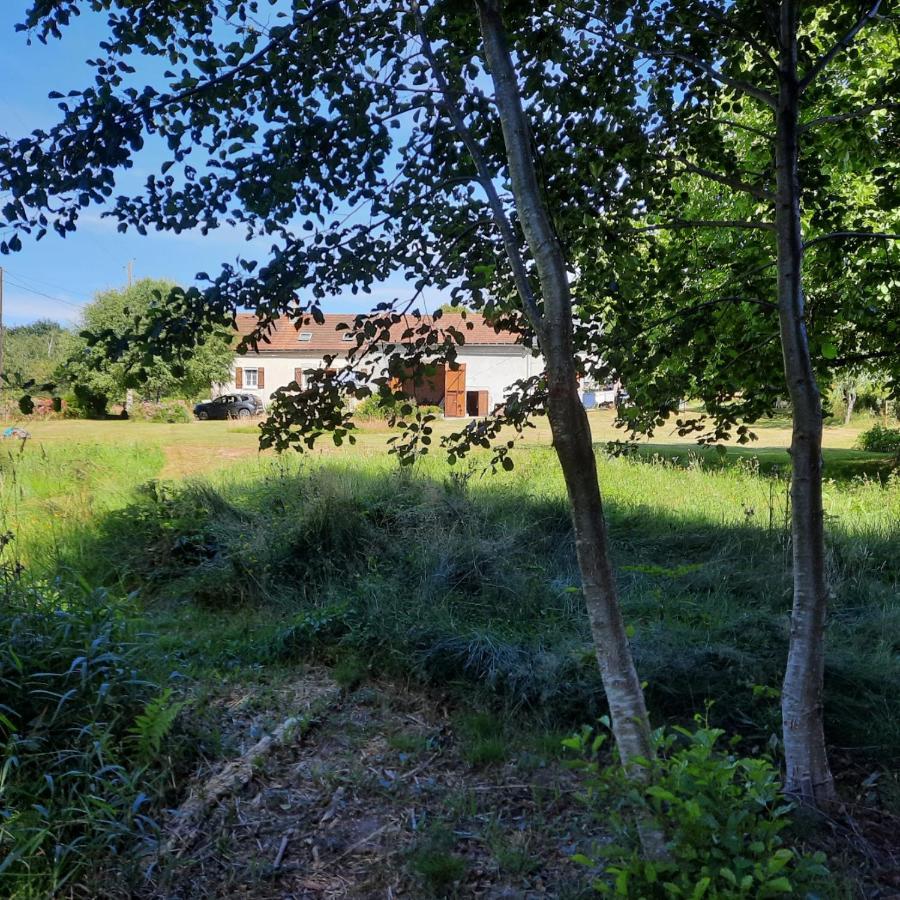 Chambre D'Hote Le Chataignier Bed & Breakfast Planchez Exterior foto